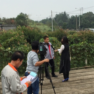 㽭l(wi)ҕӛ߁˾ɼز